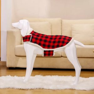 Hunde-Jacke online bestellen