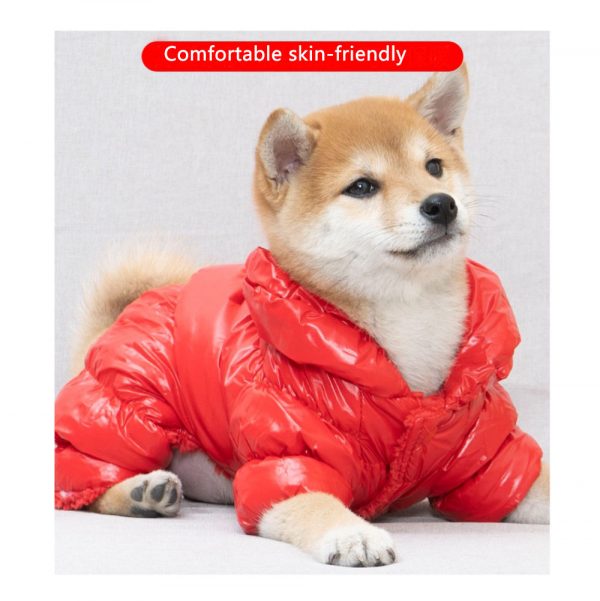 Winddichte Jacke für Hunde